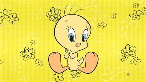 Tweety Bird For Mobile Tweety For Mobile Hd Wallpaper Pxfuel