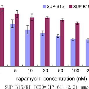 The Cytotoxic Effect Of Rapamycin In The Sup B And Sup B Ri Cell