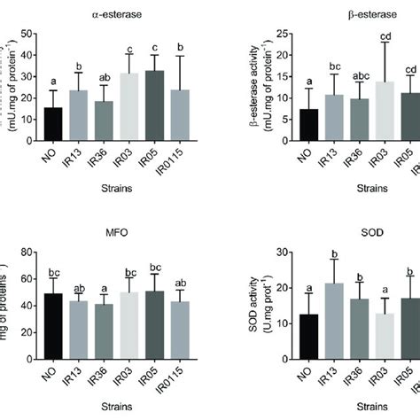 Activities Of Alpha Esterase Beta Esterase Mixed Function Oxidases