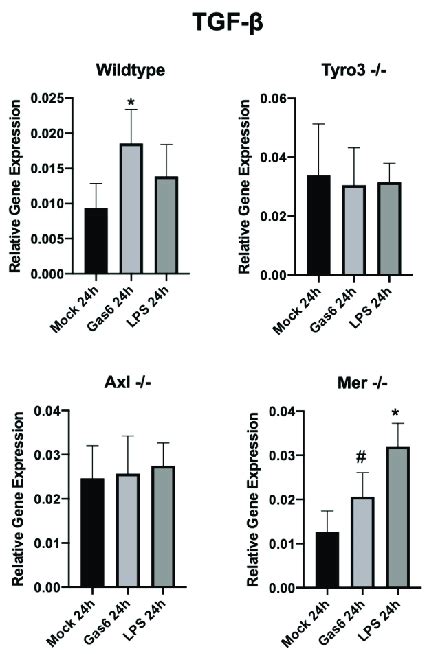 Effect Of Gas On Transforming Growth Factor Tgf Gene Expression