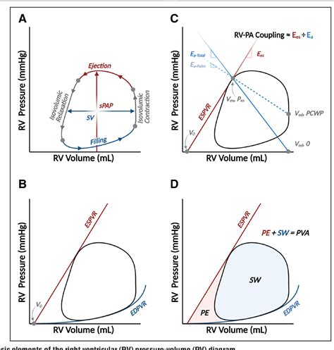 Figure From Invasive Right Ventricular Pressure Volume Analysis