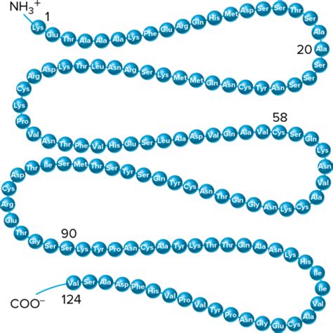 Chapter The Chemical Basis Of Life Ii Organic Molecules Flashcards