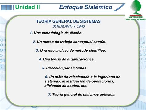 Enfoque Sistemico Unidad Ii