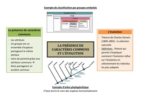 la présence de caractères communs et l évolution