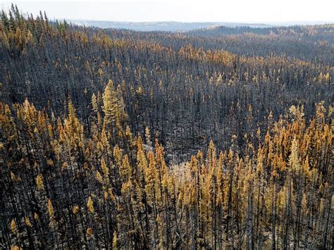 Canadian Wildfires Burn A Record Million Acres With No End In Sight