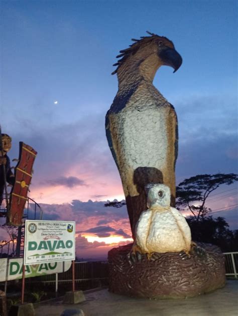 Eagle Statue at Dusk | Davao city, Night scenery, Davao