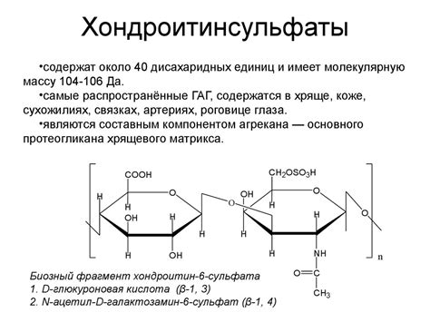 Биохимия соединительной ткани - презентация онлайн