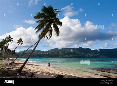 Playa Rincon Beach near Las Galeras, Samana Peninsula, Dominican Republic Stock Photo - Alamy