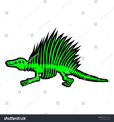 Dinosaur Skeleton Dimetrodon Drawing On White Stock Illustration 1986685193 | Shutterstock