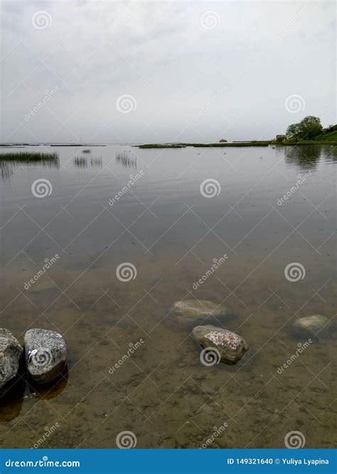The Shore of the Pond, Clear Water Stock Photo - Image of pond, trees