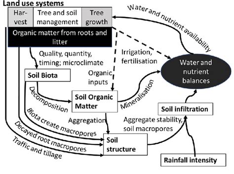 Conceptual Diagram Of Soil Degradation And Restoration Caused By