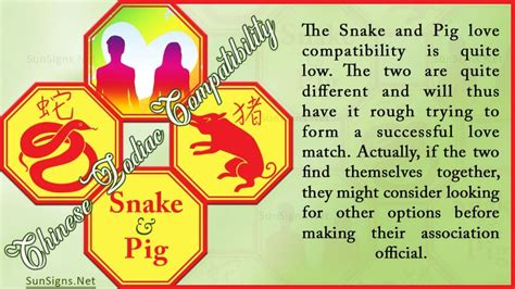 Snake Pig Compatibility: Hard Work is Needed - SunSigns.Net