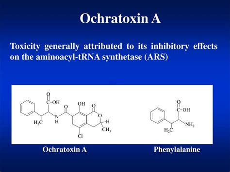 Ppt Natural Toxins Powerpoint Presentation Free Download Id7033979