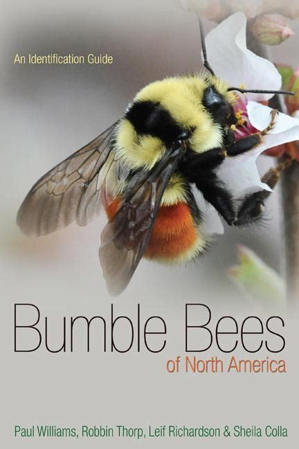 Princeton Field Guides Bumble Bees Of North America An