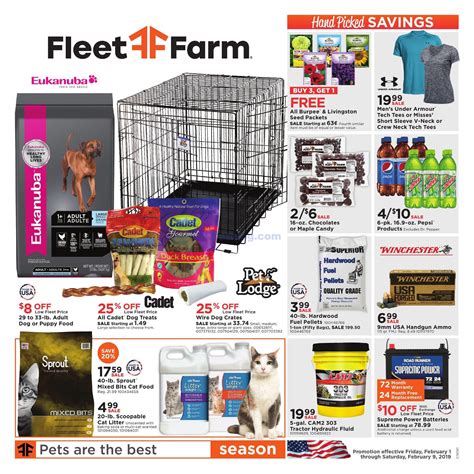 What The Experts Say About The Fleet Farm Green Bay Ad This Week Image 8