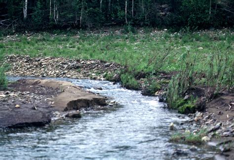 Nowitna River | ALASKA.ORG