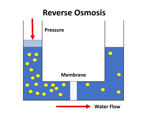 Reverse Osmosis Desalination Large Units Victorian Water