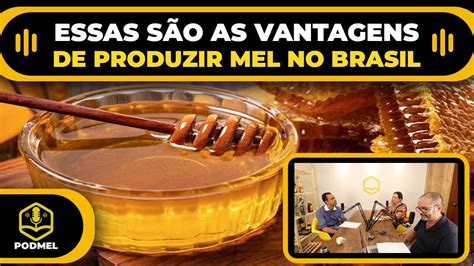 Descubra Quais Fatores Contribuem Para Que O Brasil Tenha O Melhor Mel