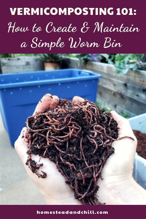 Vermicomposting 101 How To Make And Maintain A Simple Worm Bin Vermicomposting Worm Bin Worm