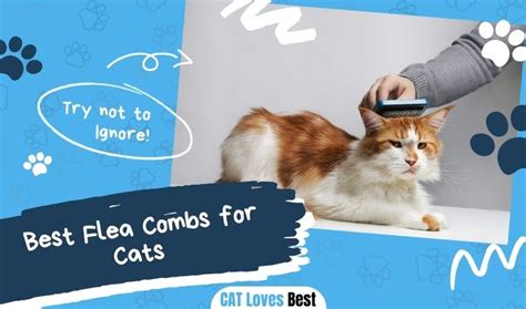 The 10 Best Flea Combs for Cats of 2023 – Reviews & Top Picks