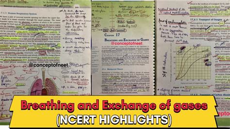 Breathing And Exchange Of Gases For Neet Ncert Highlights Class