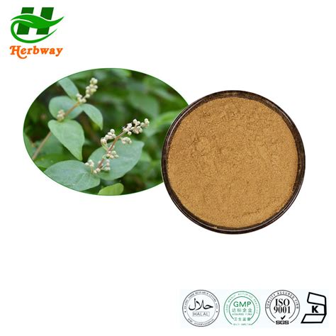 Herbway Kosher Halal Fssc Haccp Certified Polygonum Cuspidatum Extract