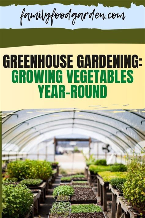 year  greenhouse  growing vegetables artofit