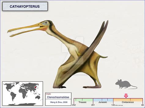 Cathayopterus By Cisiopurple On Deviantart