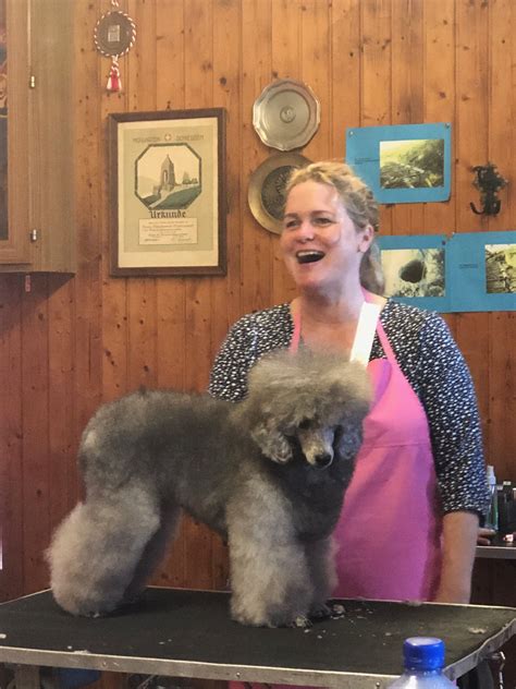 Seminar mit Nicole Baltes Ihr Hundesalon ZORA in Hölstein Baselland