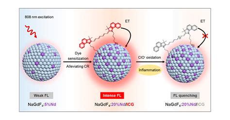 Activatable Lanthanide Nanoprobes With Dye Sensitized Second Near