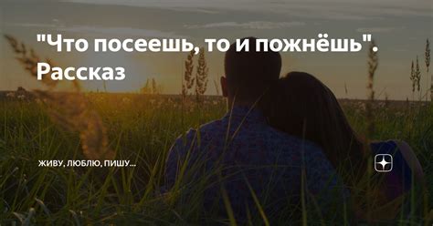"Что посеешь, то и пожнёшь". Рассказ | Живу, люблю, пишу... | Дзен