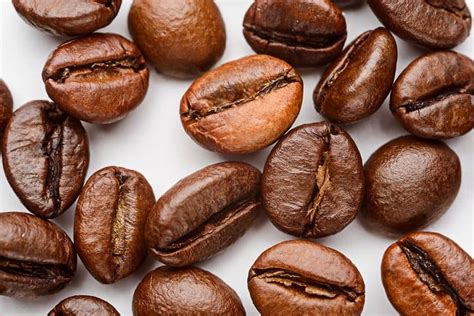 Café Robusta Qué Es Origen Y Propiedades Incapto