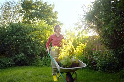 Les Fleurs Incontournables De L Automne Qui Illumineront Votre Jardin