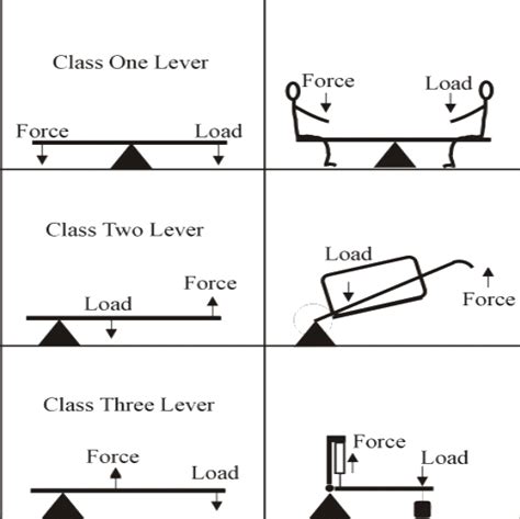 Types Of Levers: First, Second Third Order Examples », 42% OFF