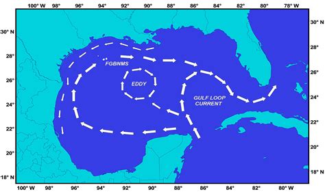 Currents within the gulf | Gonativeadventuretoursllc.com