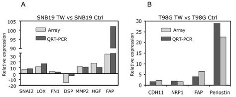 Confirmation Of The Microarray Results By Qrt Pcr To Validate The