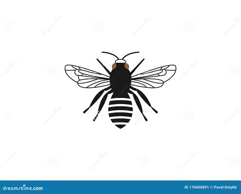 Bee Flat Design Vector Icon On White Cartoondealer