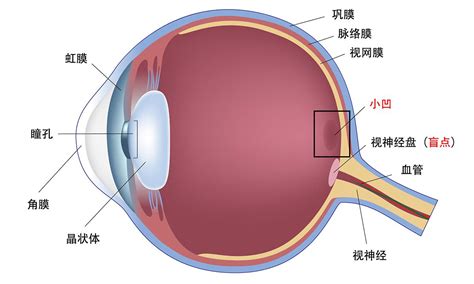 人眼的分辨率有多大 知乎