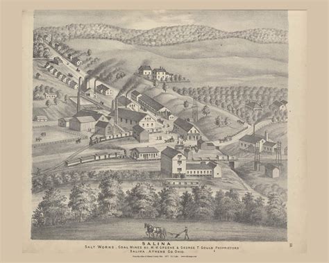 Salina Salt Works & Coal Mines, Ohio 1875 Old Town Map Custom Reprint ...