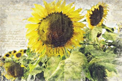 Grys Textured Decoupage Paper Golden Sunflowers Redesigns