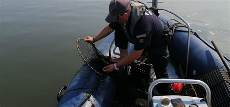 Polícia Marítima apreende 200kg de berbigão na Ria de Aveiro