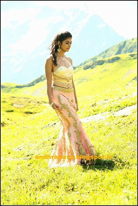 ACTRESS HOT IMAGES PooJa HeGDe Sexy Thighs Spicy Images Gallery