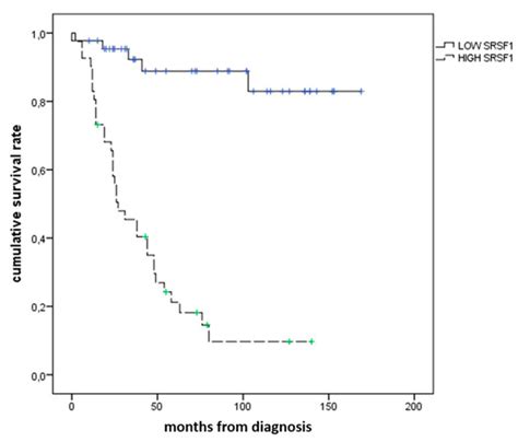 Applied Sciences Free Full Text Prognostic Value Of The