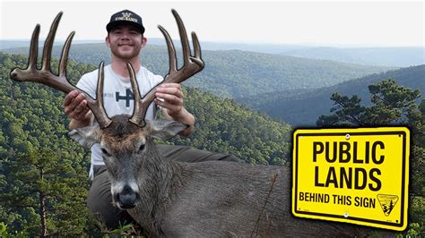 Huge Public Land Mountain Buck Self Filmed Bow Hunting The Rut