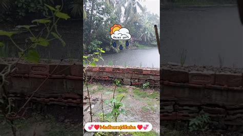 ☃️🥶🌬️শীতকালের মধ্যে ও বর্ষার আগমন 🌧️☔☔🌧️ বৃহঃস্পতিবারে বৃষ্টি ভেজা সকাল