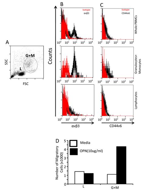 Cd44v6 And αvβ3 Are Highly Expressed In Granulocyte And Monocyte But