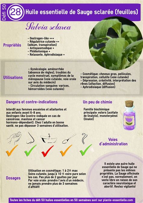 Les 50 huiles essentielles du défi ma future aromathèque Huiles