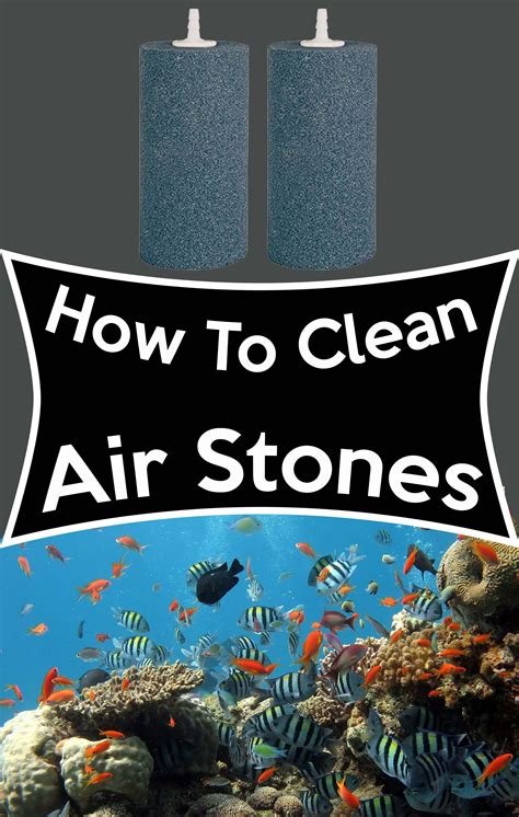 How To Clean Air Stones Compost Tea Clean Air Organic Gardening