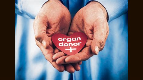 Organ Donation Chapters To Give Fresh Lease Of Life To Ncert Curriculum