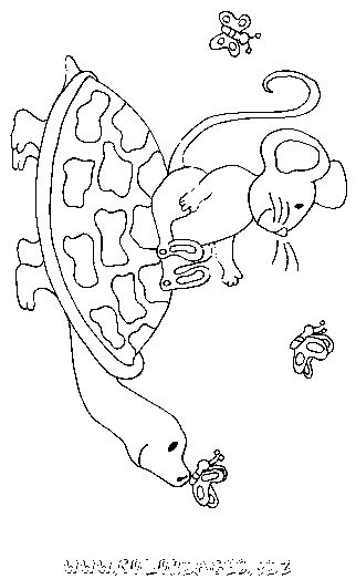 Coloriage Souris Et Tortue Gratuit Animaux